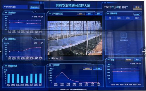 數字技術如何讓我們的瓜果更美味